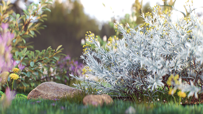 Chaos vray 7 Vegetation