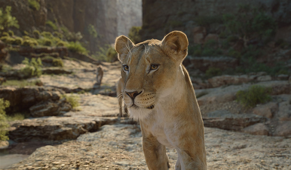 MPC mufasa4 comp 1031