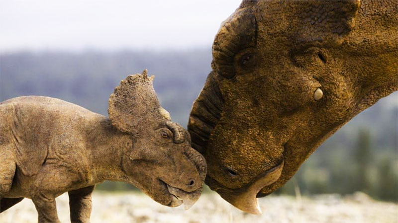Lola Walking Dinosaurs