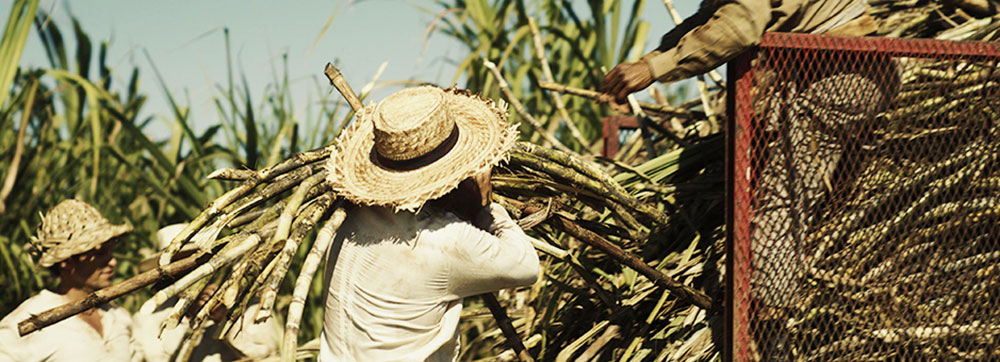 Filmlight reaktorpost erase3