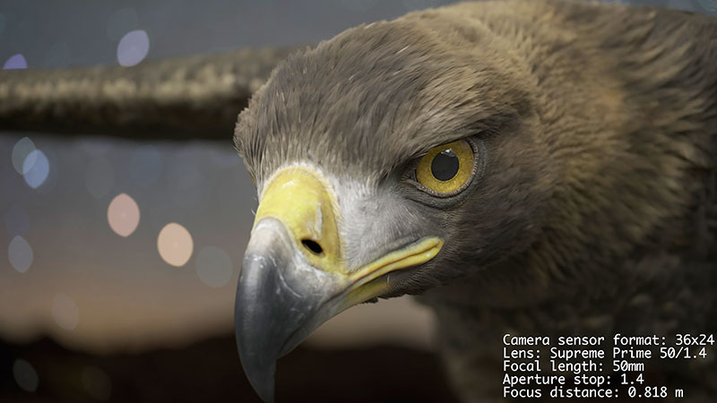 ZEISS Eagle Supreme Prime 50mm Virtual Lens