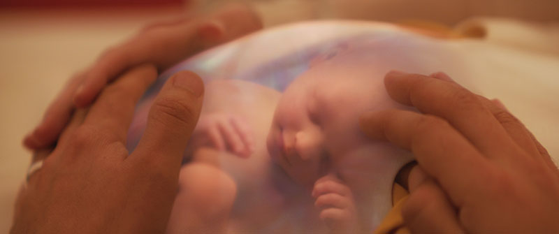 Digital domain fantastic 8