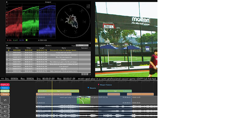 Colorfront Text Audio Dialog Detection