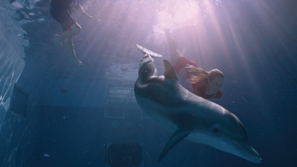Spin-vfx-dolphin-tale4