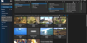 FilmLight nara molinaire2